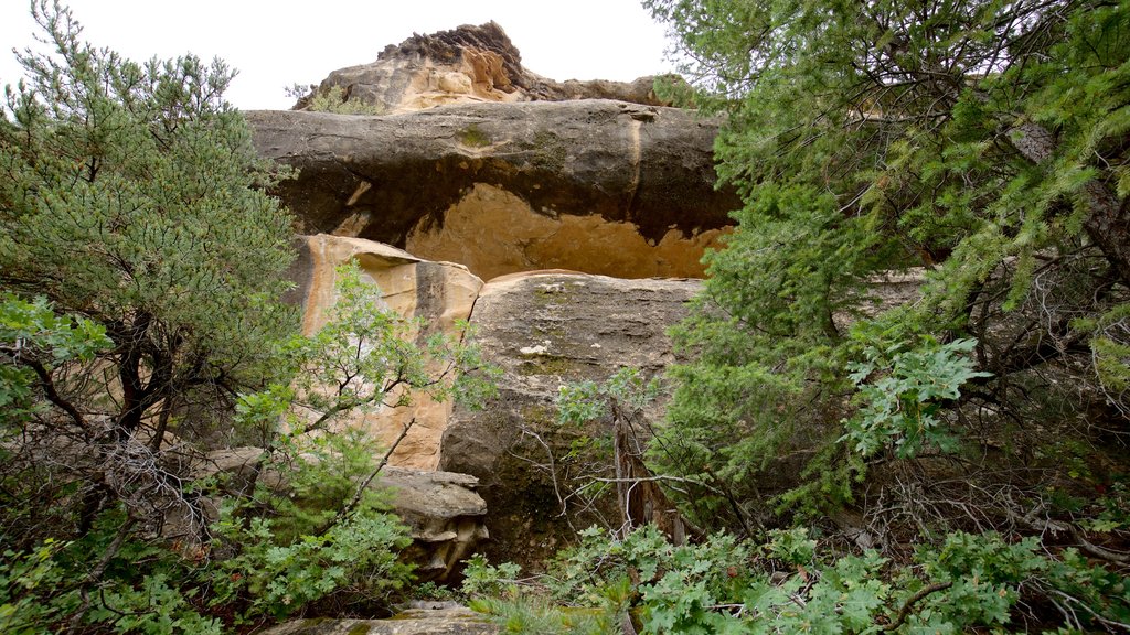 Petroglyph Point Trail toont vredige uitzichten