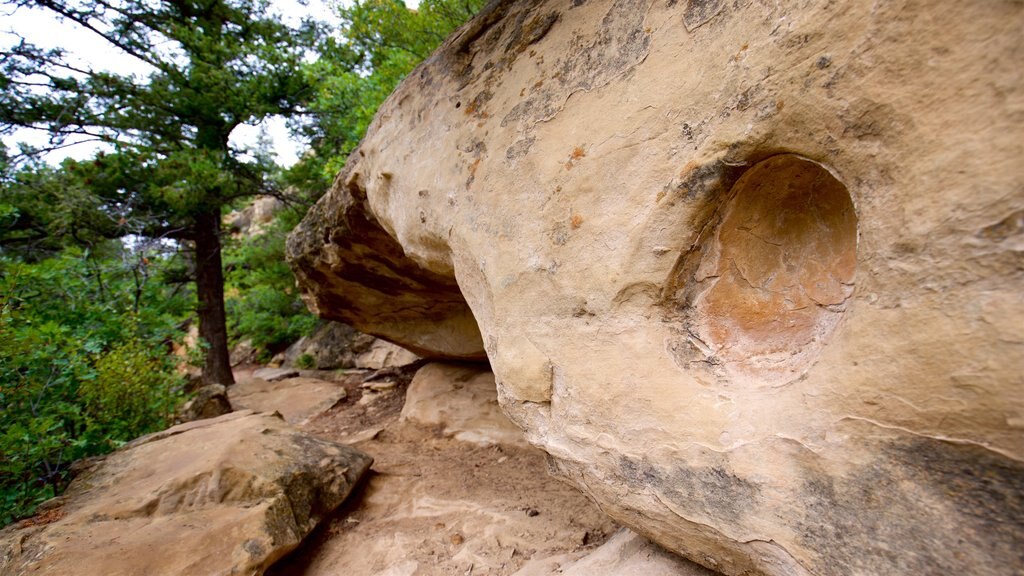 Petroglyph Point Trail which includes tranquil scenes