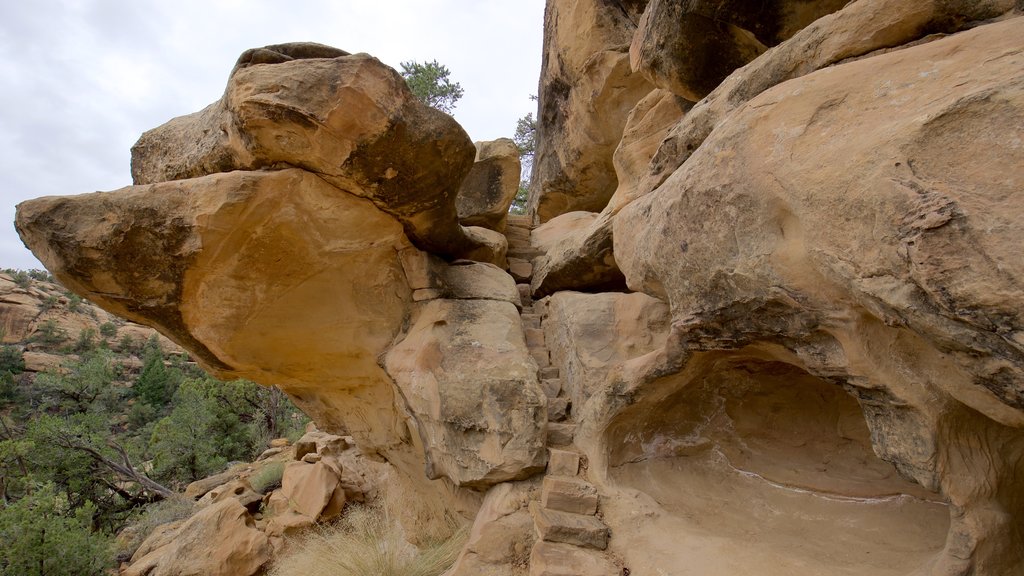 Petroglyph Point Trail montrant paysages paisibles