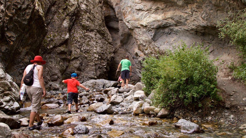 Zapata Falls que inclui um rio ou córrego assim como uma família