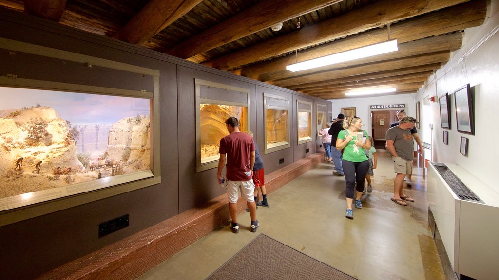 Museo arqueológico de Chapin Mesa ofreciendo vistas interiores y también un pequeño grupo de personas