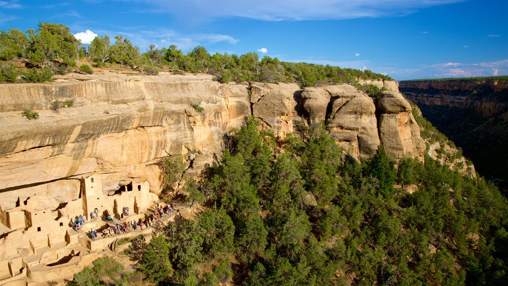 Cliff Palace que inclui um desfiladeiro ou canyon e elementos de patrimônio assim como um pequeno grupo de pessoas