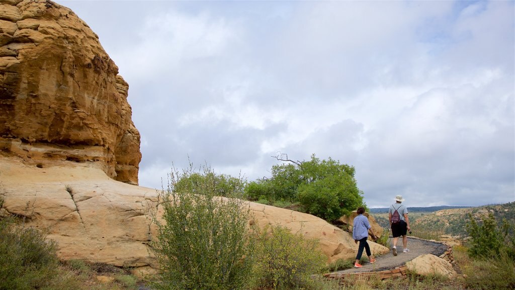 Step House Trail mettant en vedette paysages paisibles aussi bien que un couple