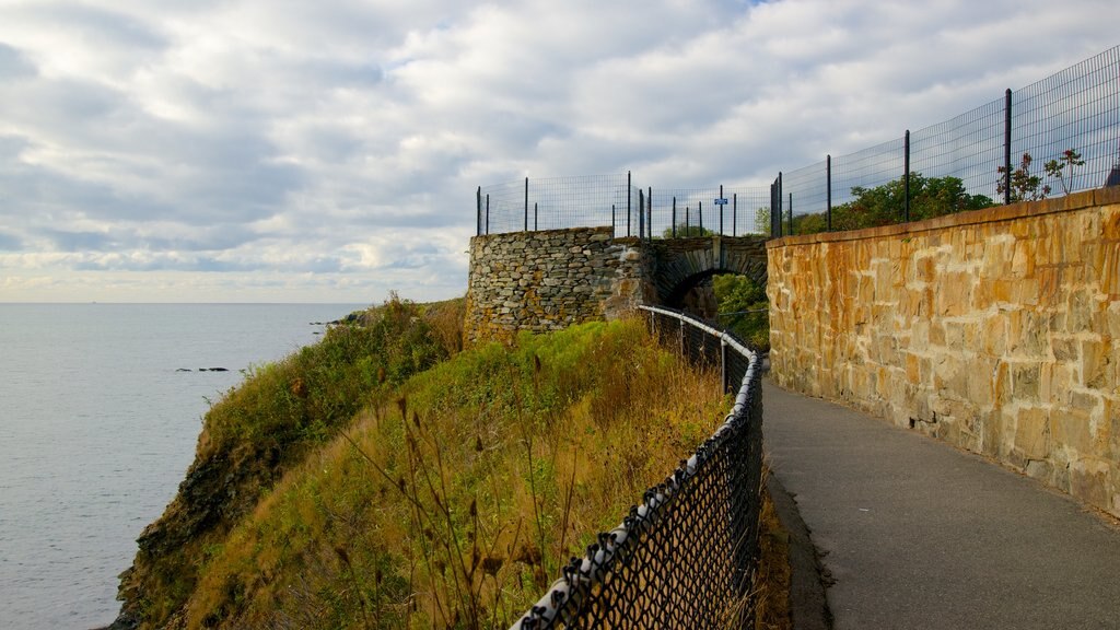 Cliff Walk som omfatter udsigt over kystområde