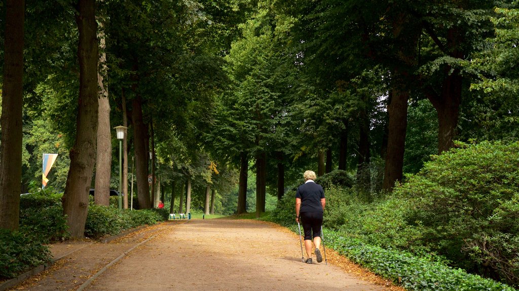 Parque Municipal de Bremen ofreciendo un jardín y también una mujer