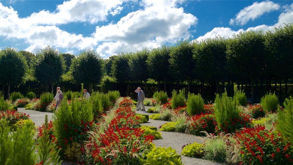 El Gran Jardín mostrando flores silvestres y un parque