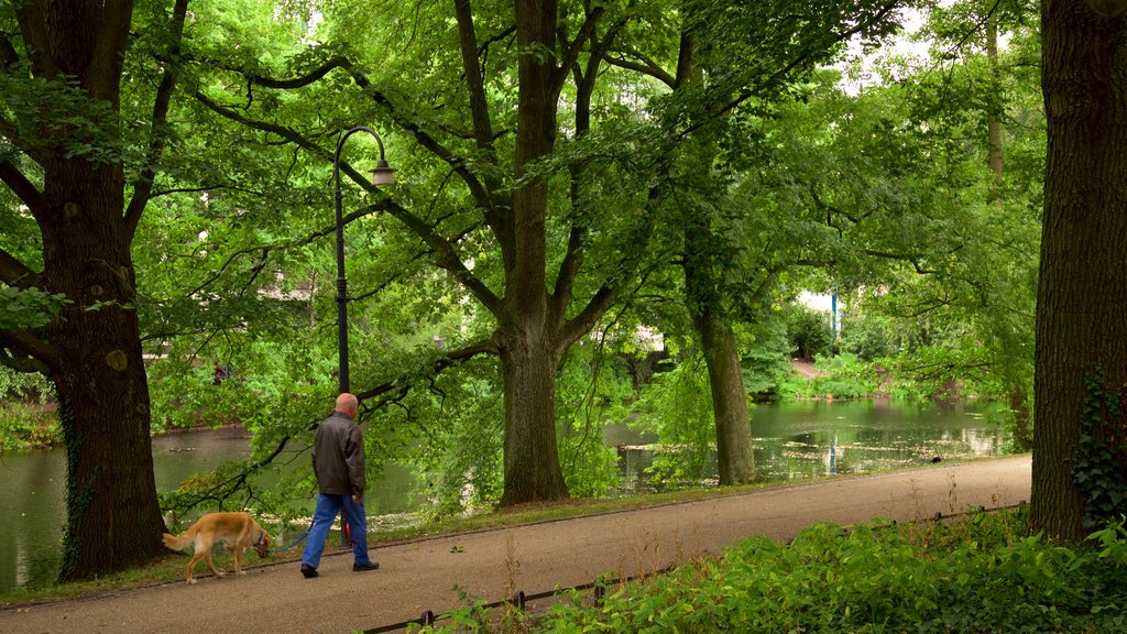 Am Wall qui includes un jardin et un lac ou un point d’eau aussi bien que un homme seul