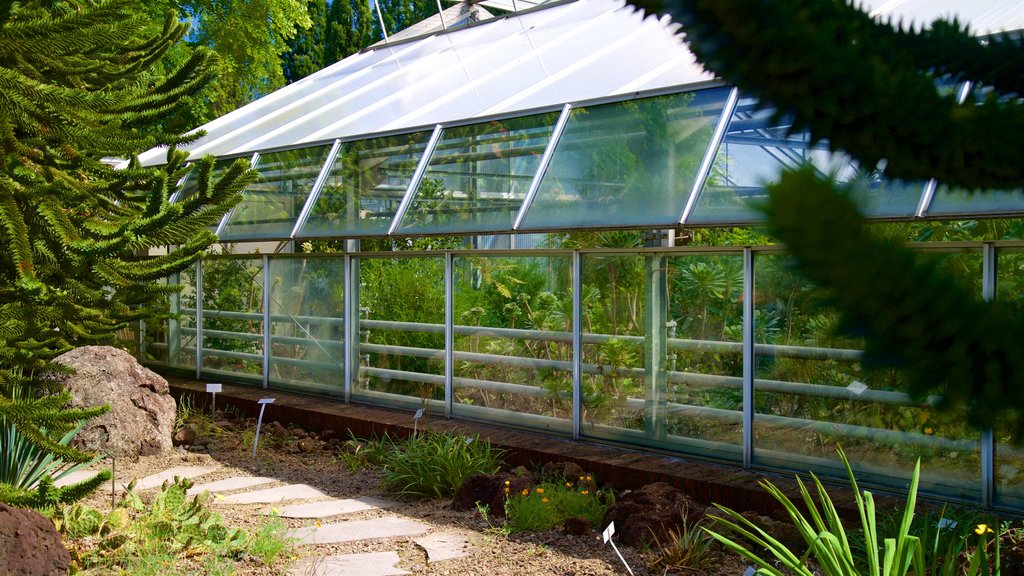 Berggarten inclusief een park