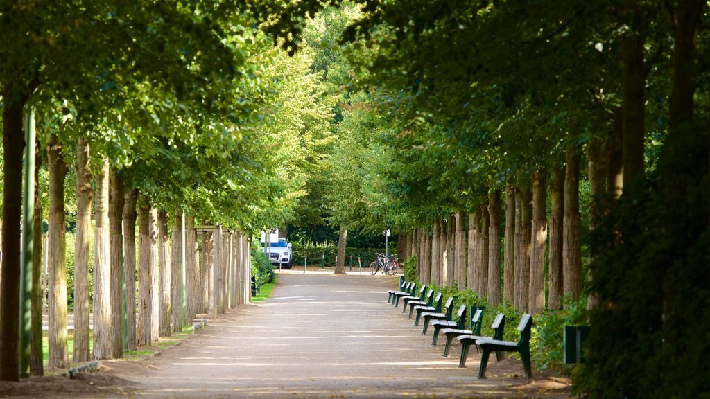 Bremen Buergerpark which includes a park