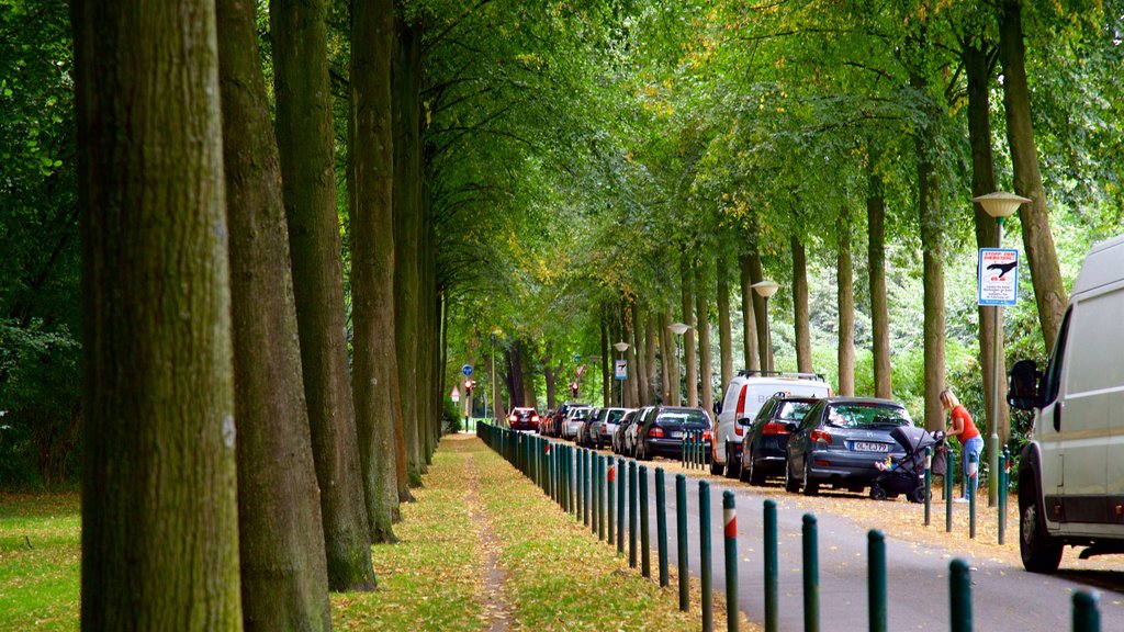 Bürgerpark Bremen toont een tuin