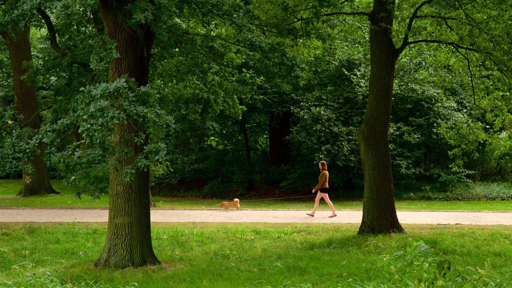 Parque Municipal de Bremen ofreciendo un jardín y también una mujer