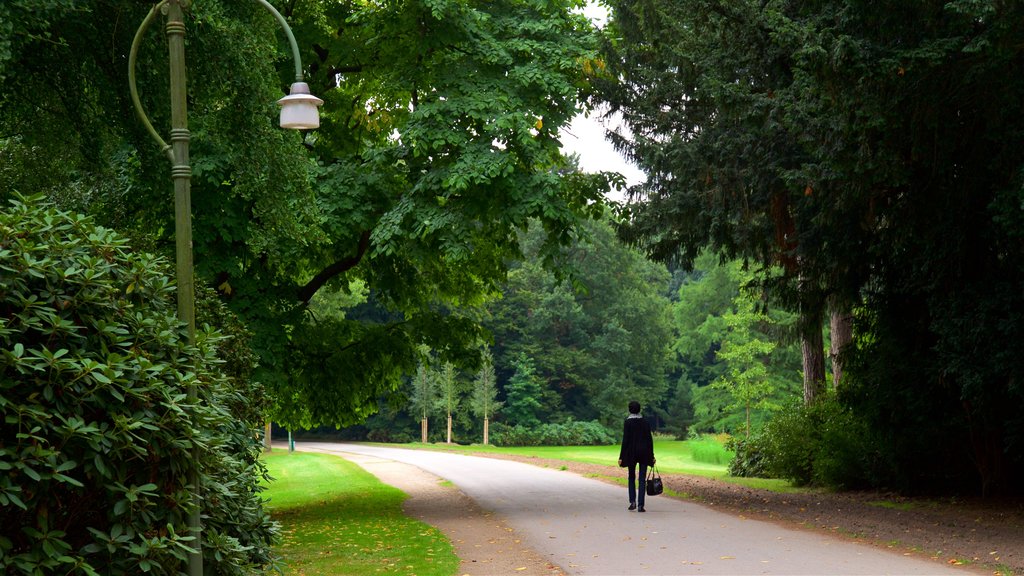 Bremen Buergerpark mostrando um jardim assim como uma mulher sozinha