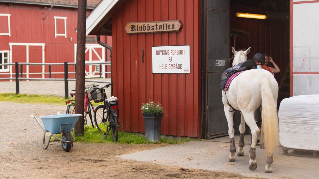 Lillestrom showing farmland, land animals and signage