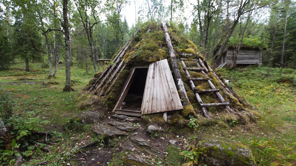 Steinkjer que incluye elementos del patrimonio y bosques