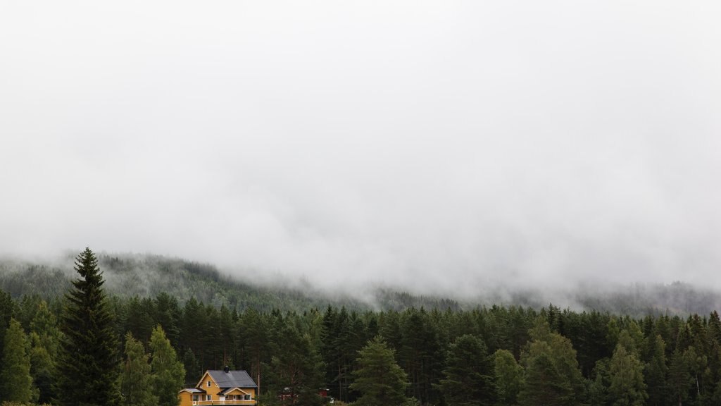 Kongsvinger showing mist or fog