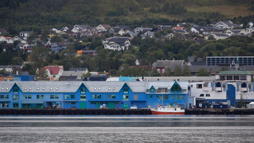 Sortland que incluye un lago o abrevadero y una pequeña ciudad o pueblo