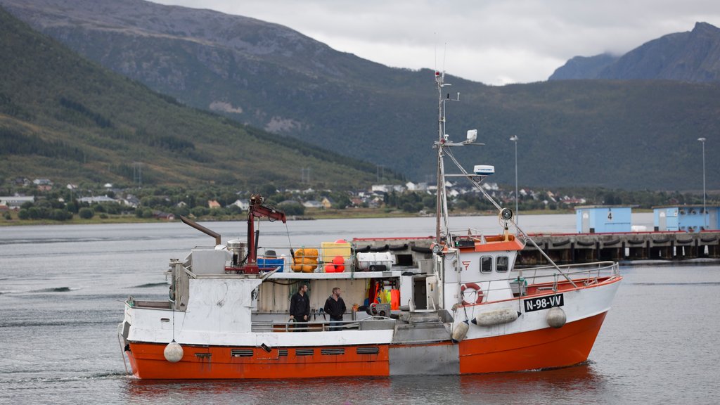 Sortland ofreciendo escenas tranquilas, un lago o espejo de agua y botes