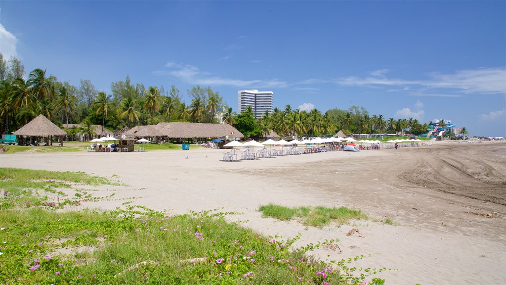 Playa de Mocambo ofreciendo una playa, escenas tropicales y vistas generales de la costa