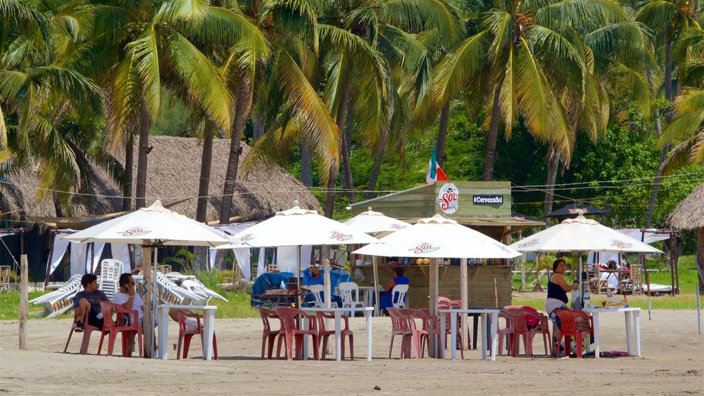 Mocambo Beach featuring a sandy beach and tropical scenes as well as a small group of people