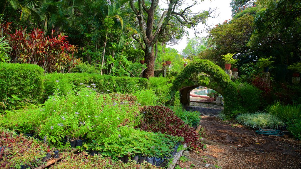 Taman Borda menunjukkan kebun