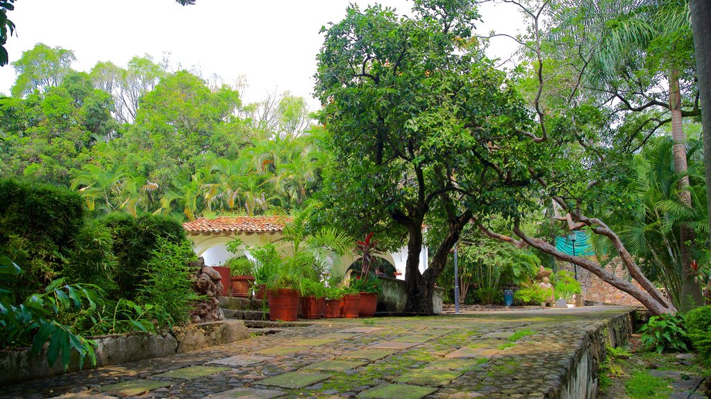 Jardín Borda mostrando jardín