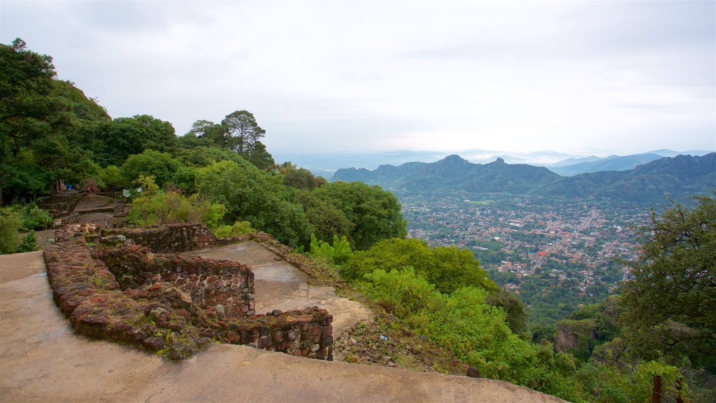 Tepozteco Pyramid featuring tranquil scenes and building ruins