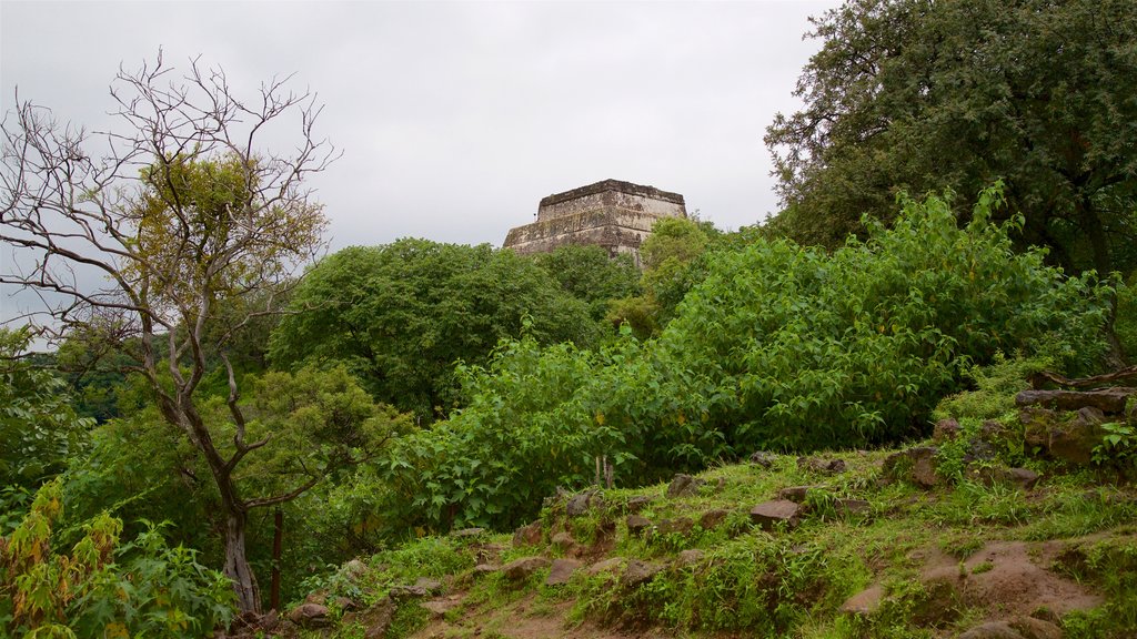 Tepozteco Pyramid featuring heritage elements and tranquil scenes