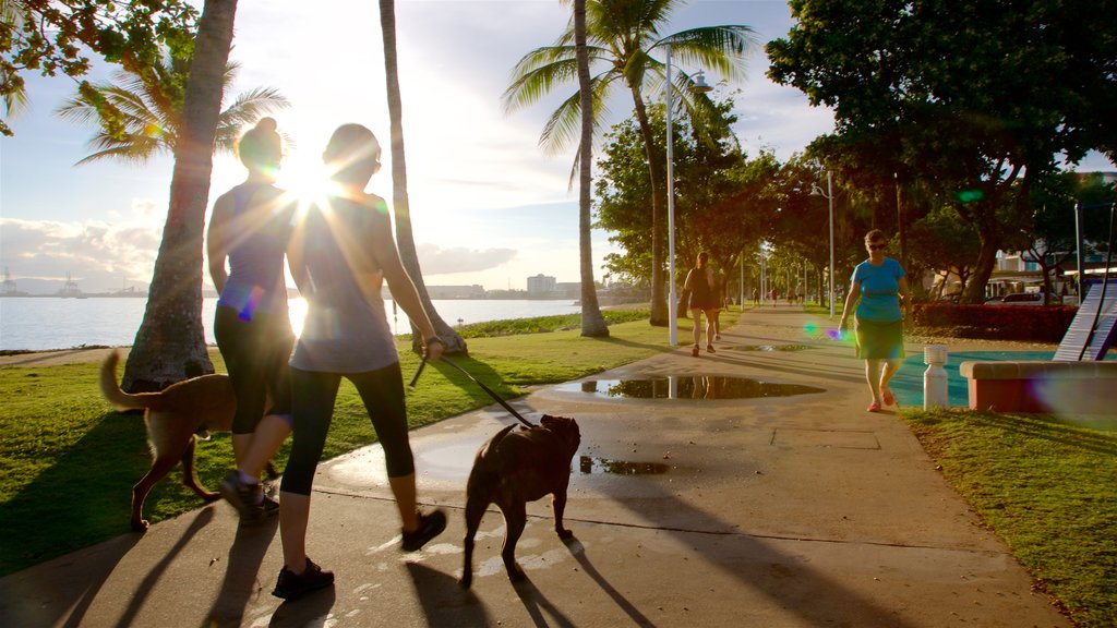 The Strand featuring a sunset, a garden and general coastal views