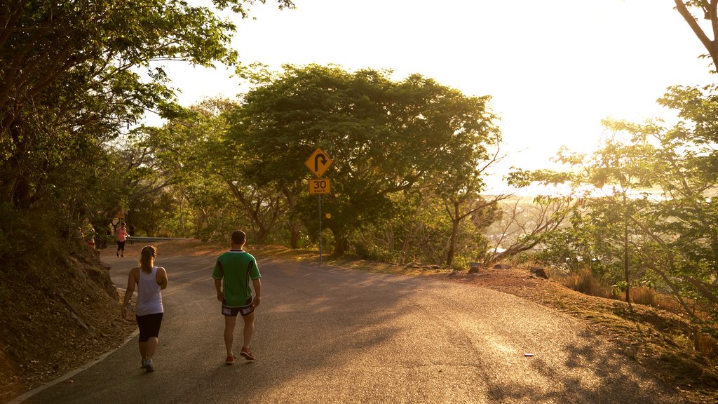 Castle Hill featuring a sunset, hiking or walking and tranquil scenes