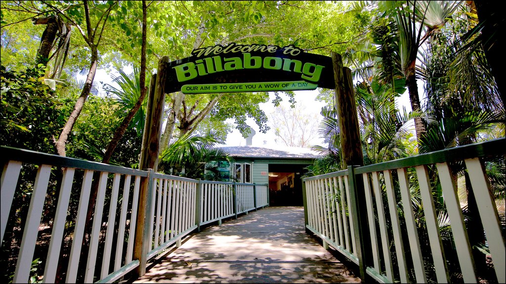 Billabong Sanctuary showing signage and a bridge