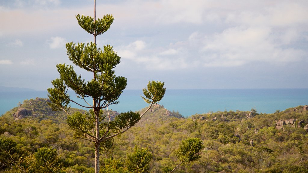 Magnetic Island National Park which includes tranquil scenes and general coastal views