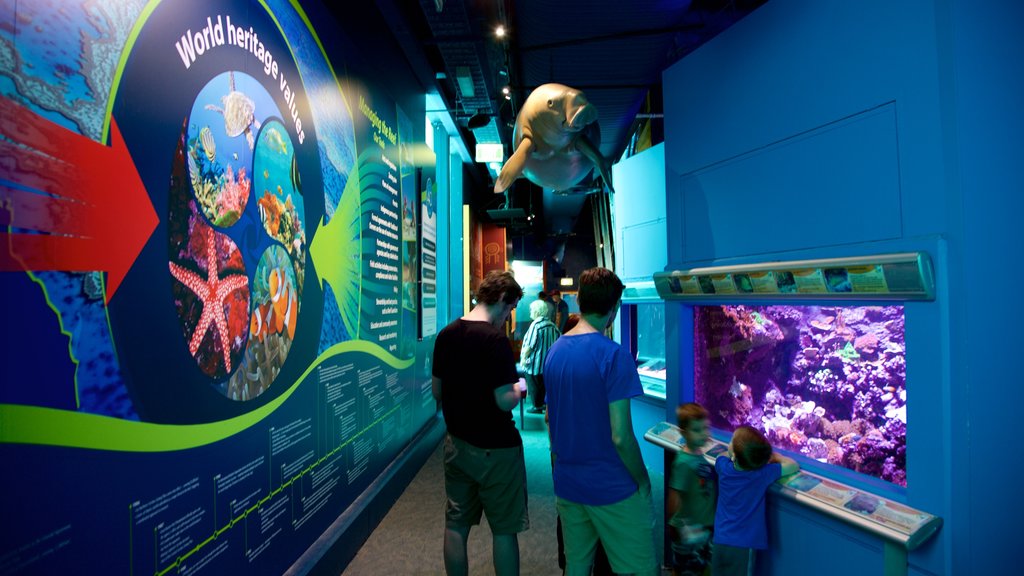 ReefHQ Aquarium featuring marine life and interior views as well as a small group of people