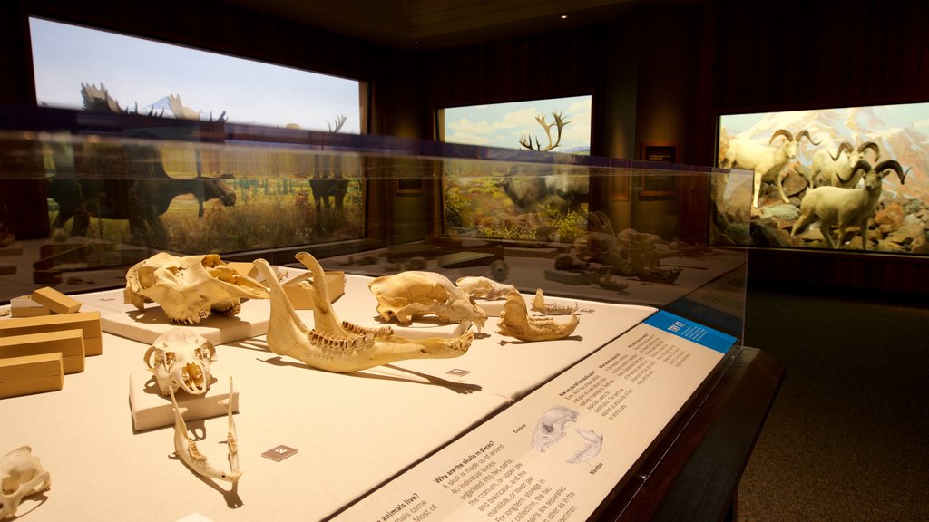 Carnegie Museum of Natural History showing heritage elements and interior views