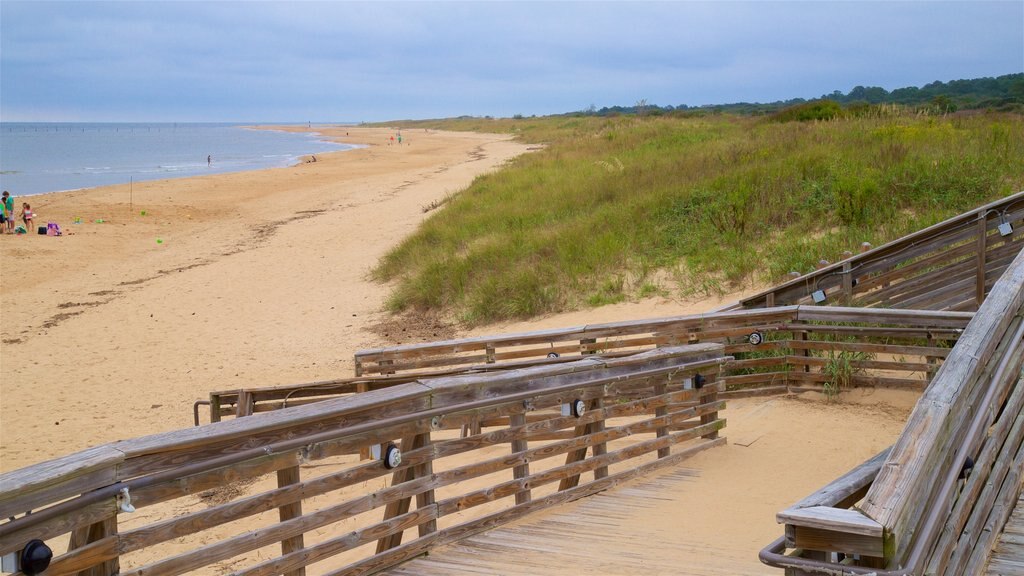 First Landing State Park showing a sandy beach and general coastal views