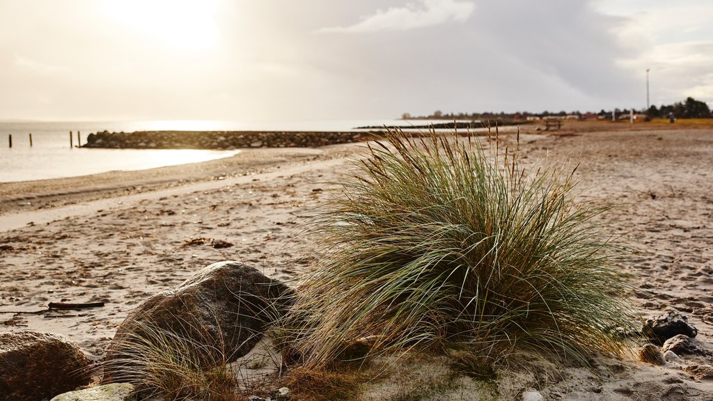 Juelsminde mostrando paisagens litorâneas e uma praia