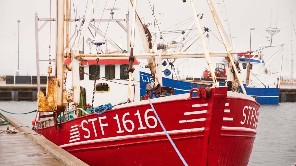 Juelsminde mostrando una bahía o un puerto