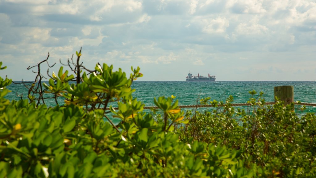 Hugh Taylor Birch State Park qui includes vues littorales et panoramas