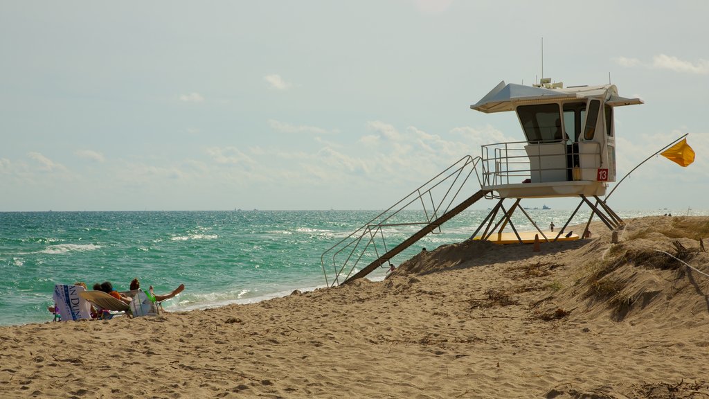 Hugh Taylor Birch State Park showing a sandy beach and landscape views