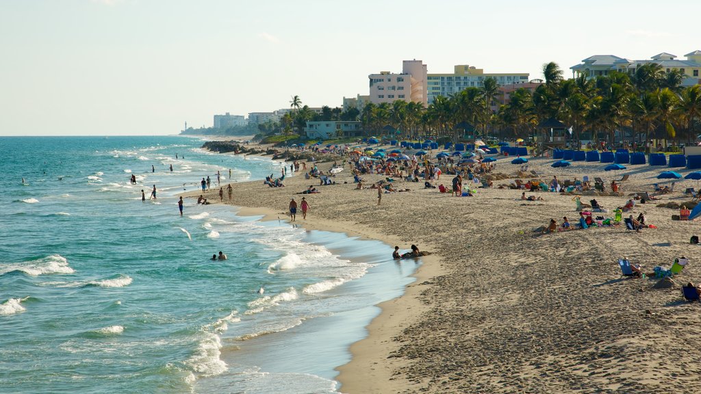 Deerfield Beach Pier som omfatter en strand, en kystby og tropiske områder