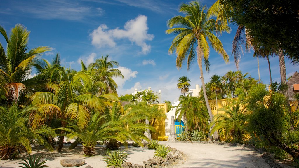 Casa museo Bonnet y jardines ofreciendo vista panorámica, jardín y escenas tropicales