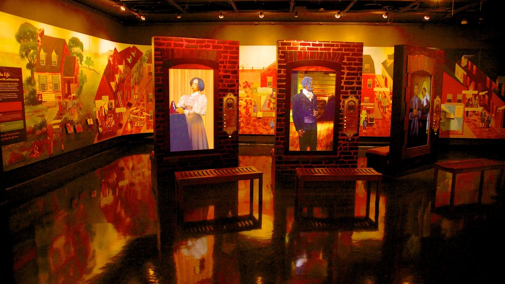 African American Museum showing interior views