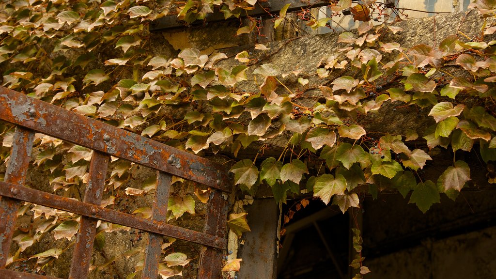 Eastern State Penitentiary showing autumn leaves