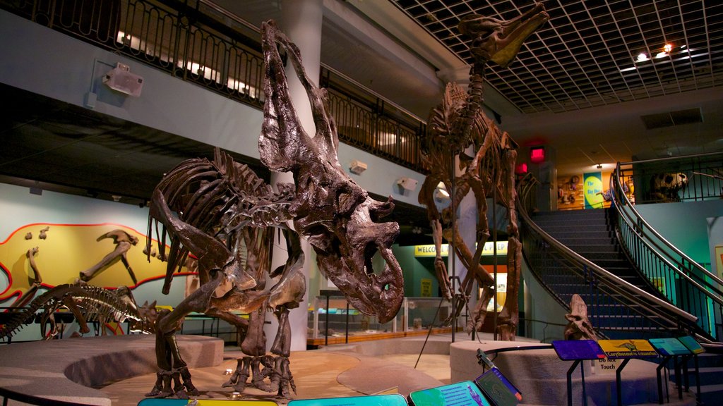 Academy of Natural Sciences showing interior views