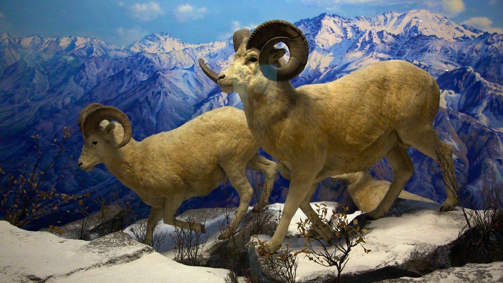 Academy of Natural Sciences showing land animals