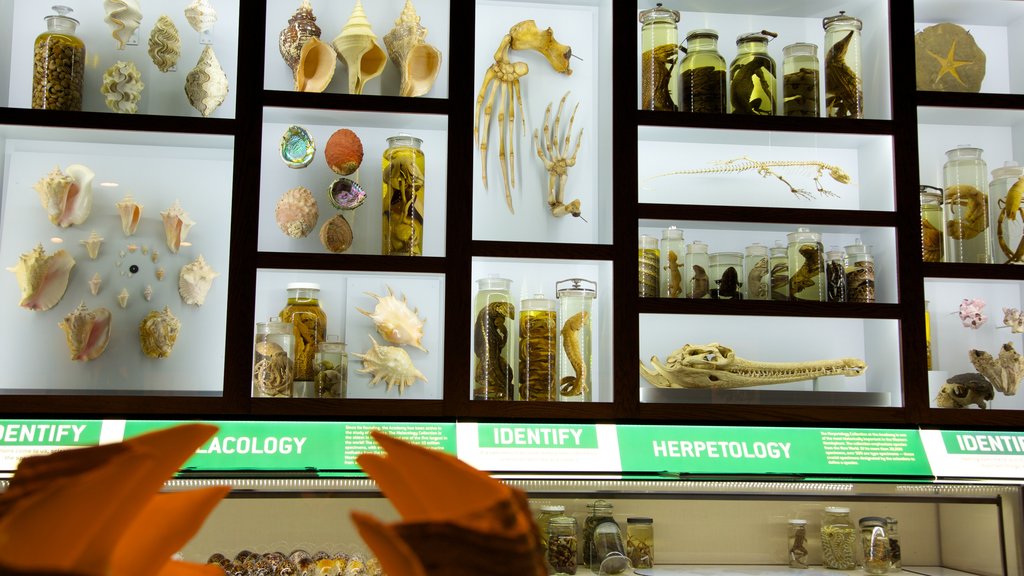 Academy of Natural Sciences showing interior views