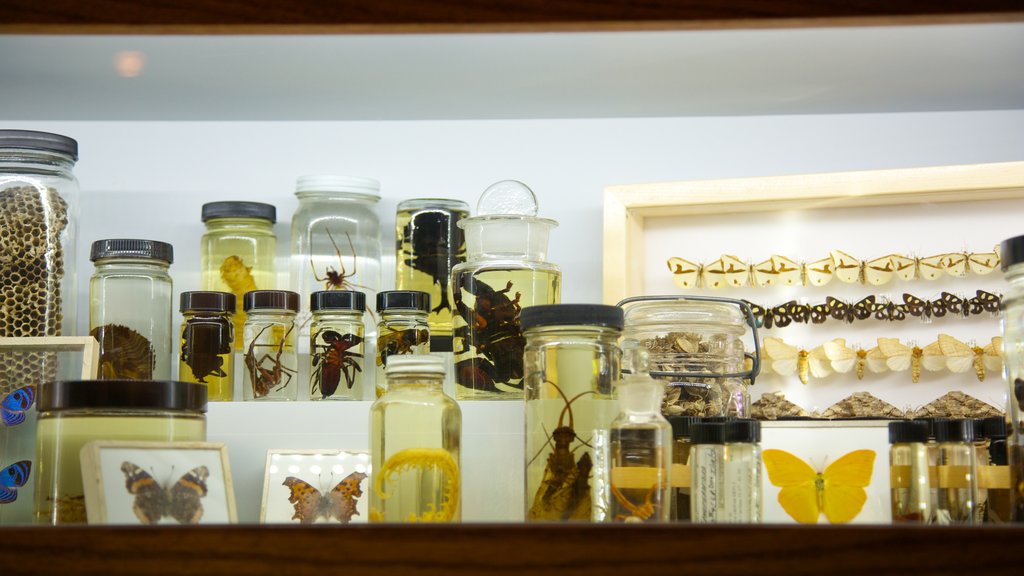 Academy of Natural Sciences featuring interior views