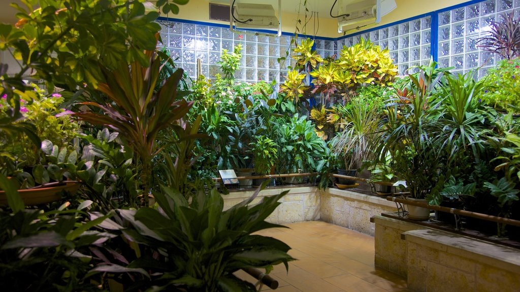 Academy of Natural Sciences showing interior views and flowers