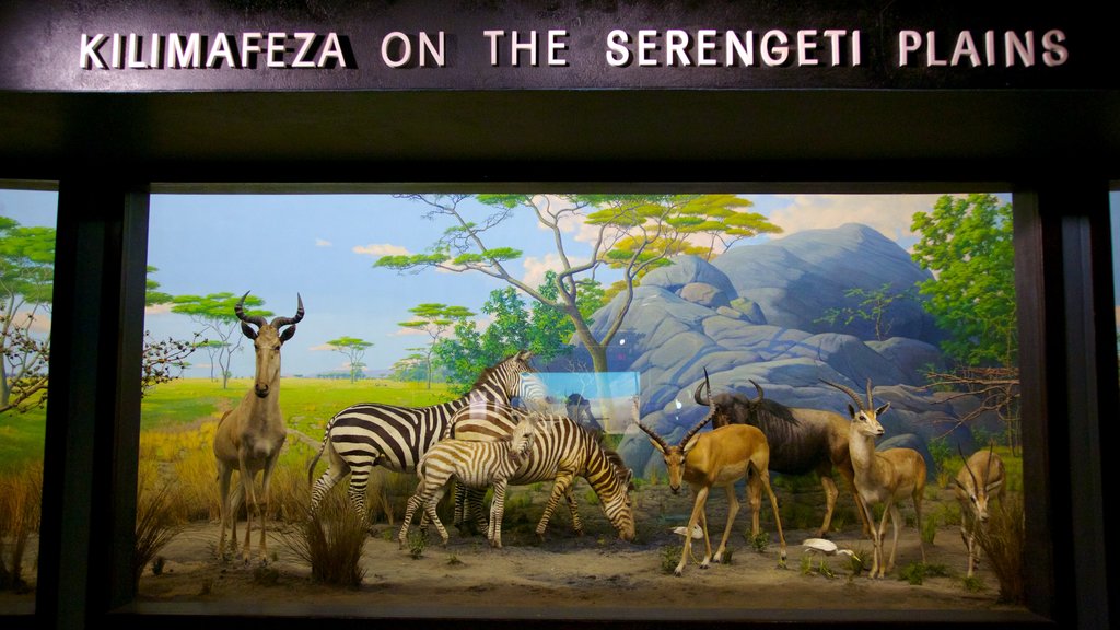 Academy of Natural Sciences showing signage and interior views