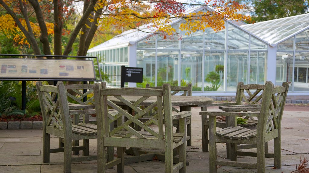 Morris Arboretum que inclui cores do outono e um jardim