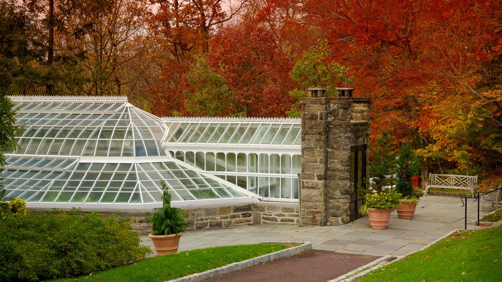 Morris Arboretum que inclui um jardim e cores do outono